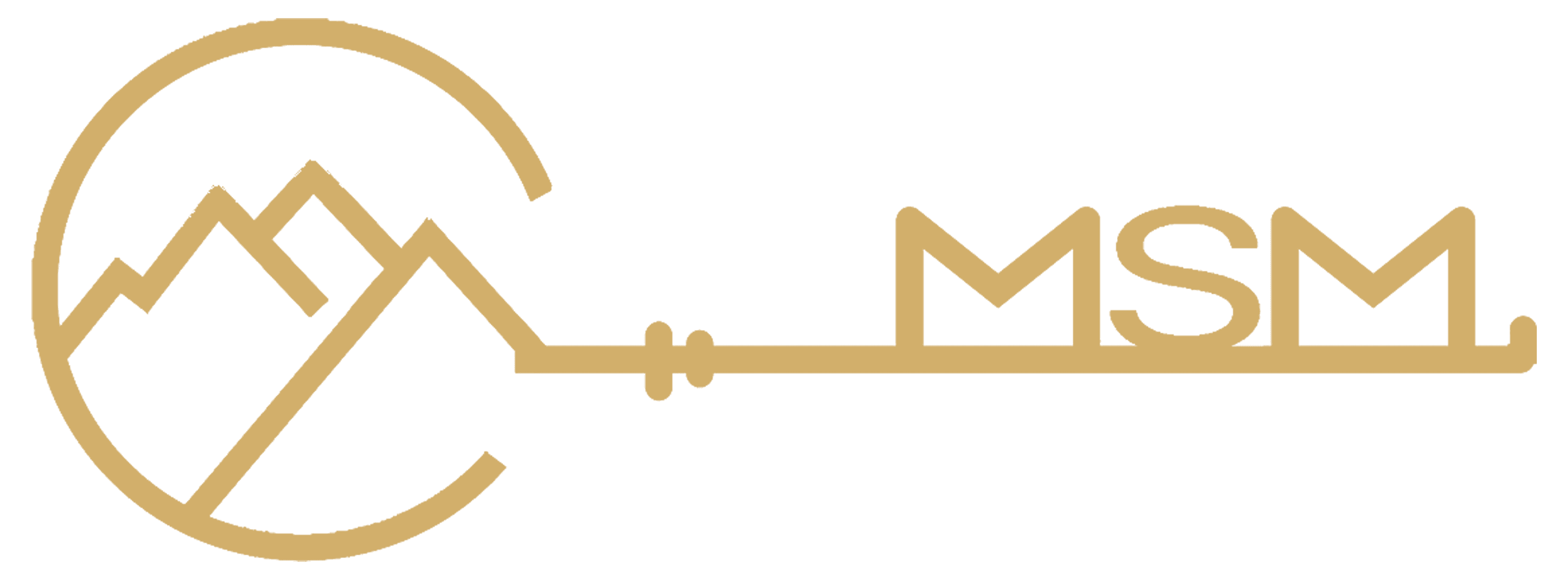 MSM logo